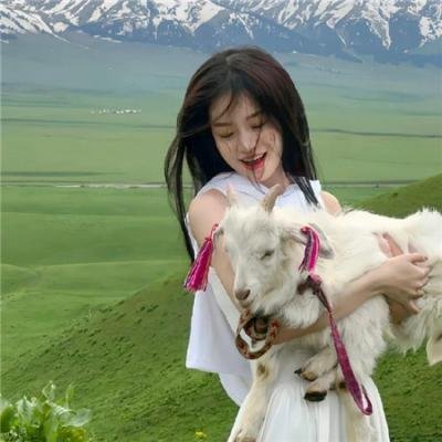 地平线系列.：恐龙迪皮与蓝鲸